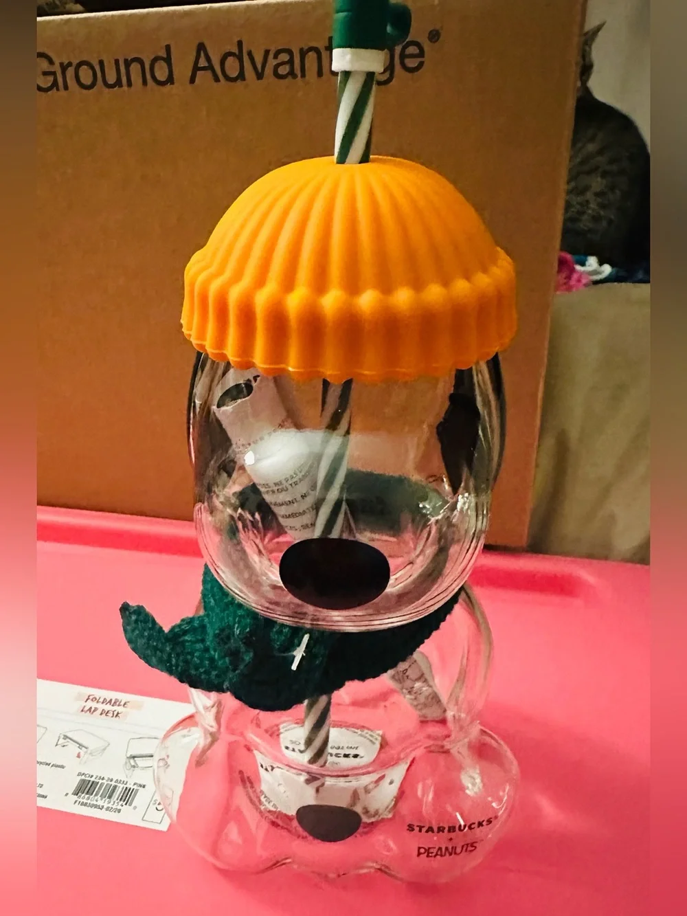 Starbucks Peanuts Green & Orange Character Straw Tumblers